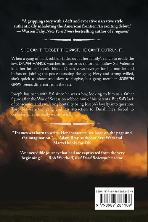 Produktbild: Gone Outlaw