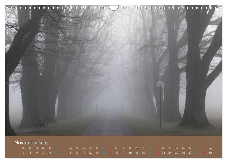 Produktbild: Fasziantion Natur (Wandkalender 2026 DIN A3 quer), CALVENDO Monatskalender