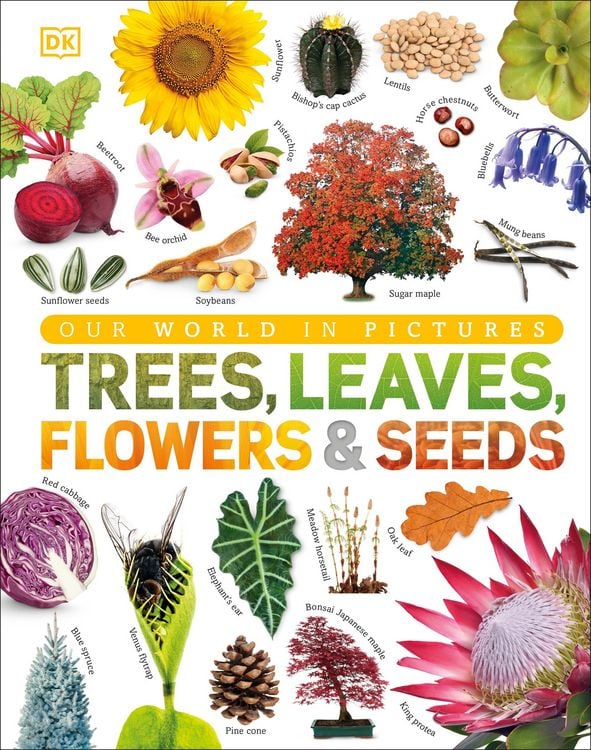 Produktbild: Trees, Leaves, Flowers & Seeds