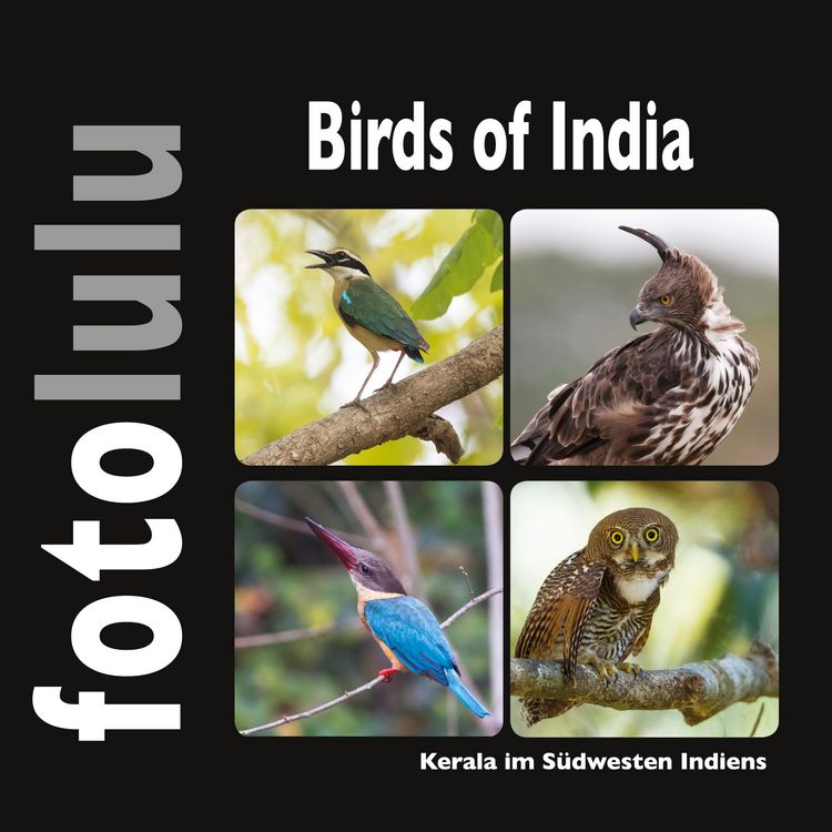 Produktbild: Birds of India