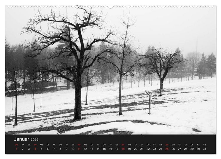 Produktbild: B&auml;ume trees 2026 (Wandkalender 2026 DIN A2 quer), CALVENDO Monatskalender