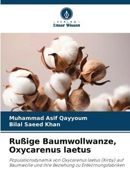 Produktbild: Ru&szlig;ige Baumwollwanze, Oxycarenus laetus