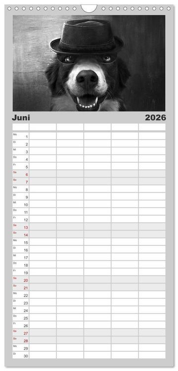 Produktbild: Familienplaner 2026 - H&uuml;tehunde mit 5 Spalten (Wandkalender, 21 x 45 cm) CALVENDO