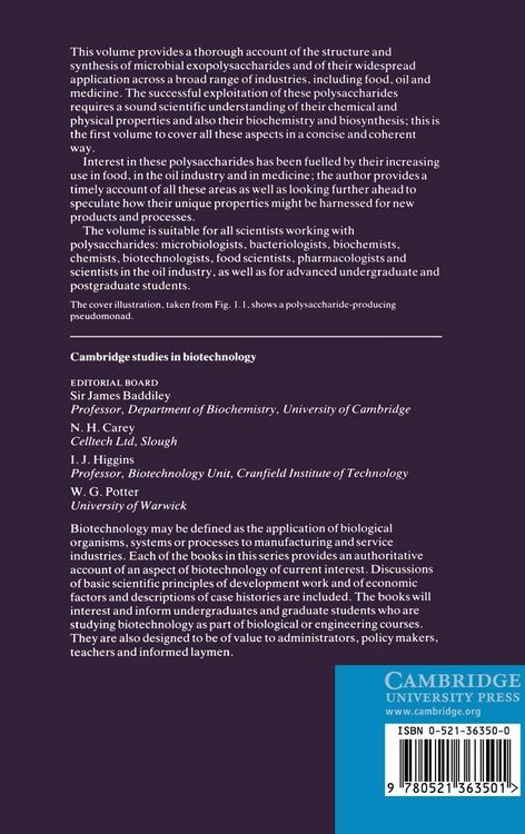 Produktbild: Biotechnology of Microbial Exopolysaccharides