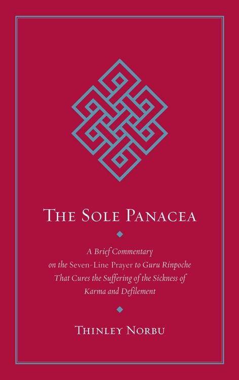 Produktbild: The Sole Panacea