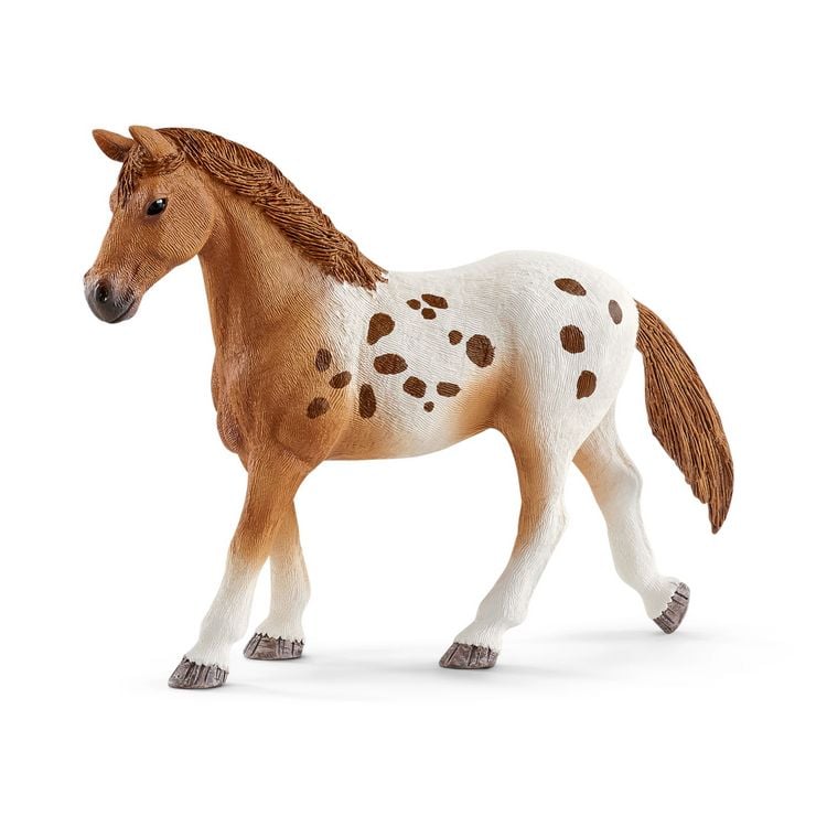 Produktbild: Horse Club Lisas Turnier-Training