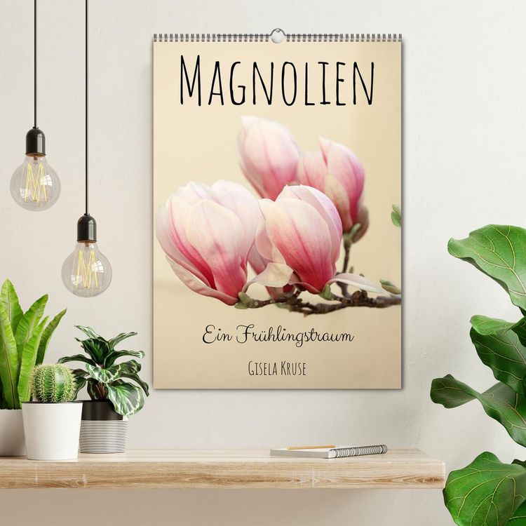Produktbild: Magnolien Ein Fr&uuml;hlingstraum (Wandkalender 2026 DIN A2 hoch), CALVENDO Monatskalender