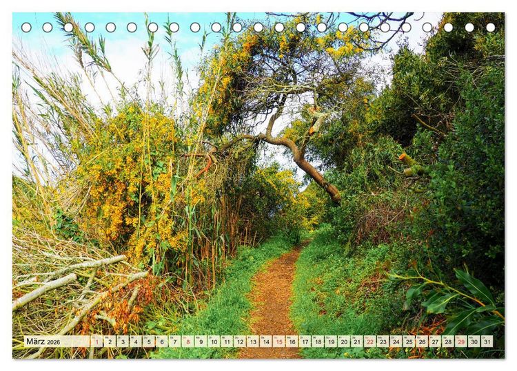 Produktbild: Portugal - Rota Vicentina (Tischkalender 2026 DIN A5 quer), CALVENDO Monatskalender