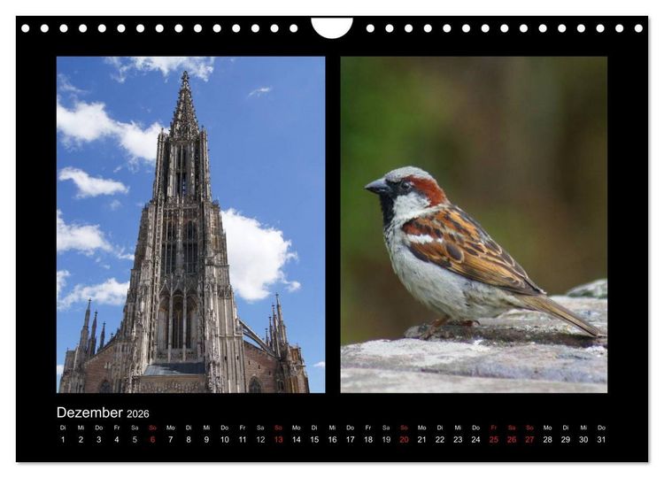 Produktbild: Ulmer Spatzen (Wandkalender 2026 DIN A4 quer), CALVENDO Monatskalender