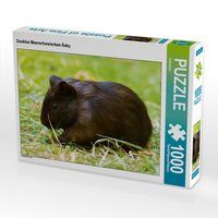Produktbild: CALVENDO Puzzle Dunkles Meerschweinchen Baby 1000 Teile Lege-Gr&ouml;&szlig;e 64 x 48 cm Foto-Puzzle Bild von Kattobello