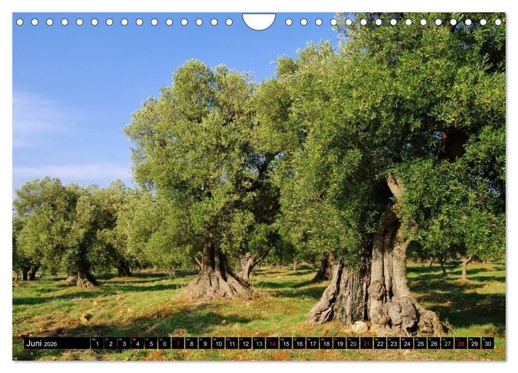 Produktbild: Apulien (Wandkalender 2026 DIN A4 quer), CALVENDO Monatskalender
