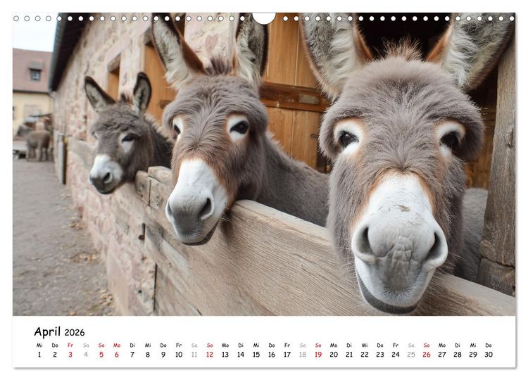 Produktbild: Hans der Bauer und seine Tiere auf dem Bauernhof (Wandkalender 2026 DIN A3 quer), CALVENDO Monatskalender