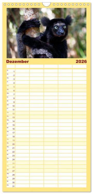 Produktbild: Familienplaner 2026 - Tierisch tolles Madagaskar - Cham&auml;leons, Lemuren und mehr mit 5 Spalten (Wandkalender, 21 x 45 cm) CALVENDO