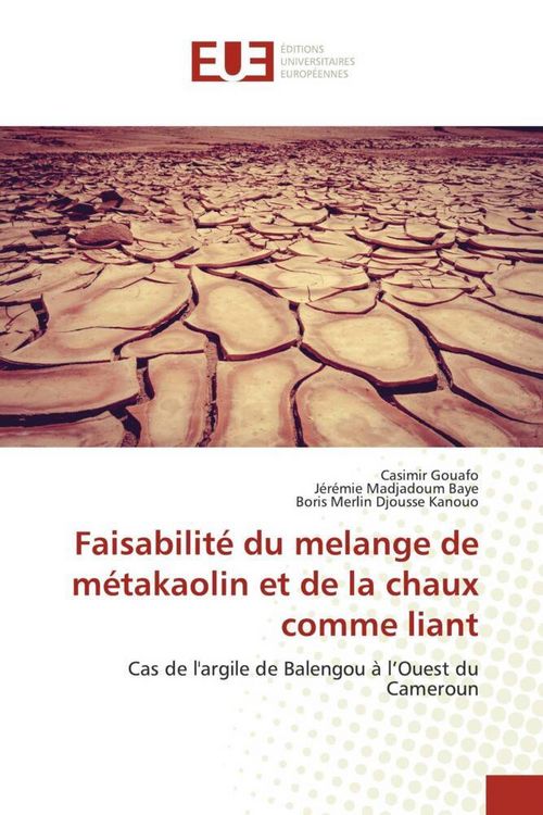 Produktbild: Faisabilit&eacute; du melange de m&eacute;takaolin et de la chaux comme liant