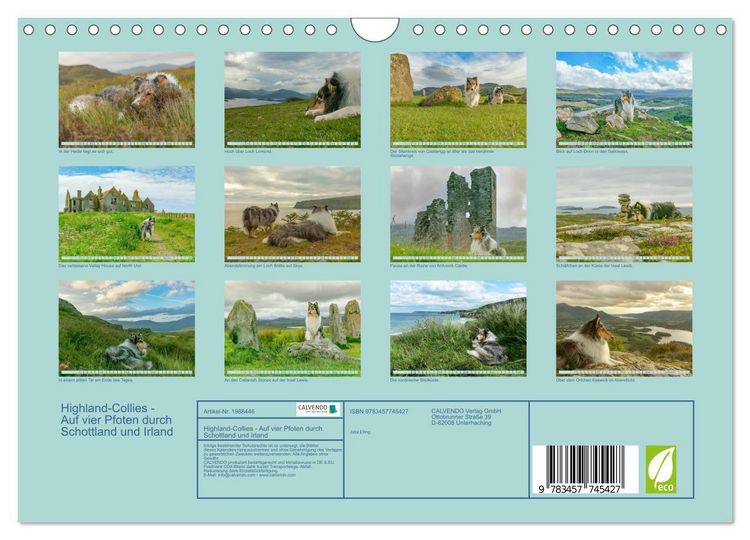 Produktbild: Highland-Collies - Auf vier Pfoten durch Schottland und Irland (Wandkalender 2026 DIN A4 quer), CALVENDO Monatskalender