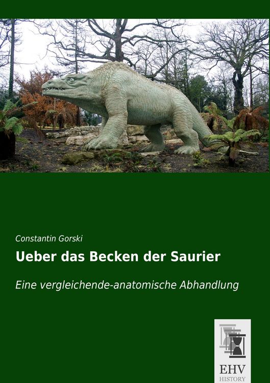 Produktbild: Ueber das Becken der Saurier