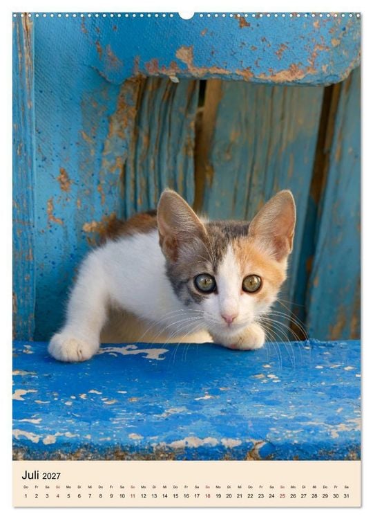 Produktbild: Katzen von Rhodos (hochwertiger Premium Wandkalender 2027 DIN A2 hoch), Kunstdruck in Hochglanz