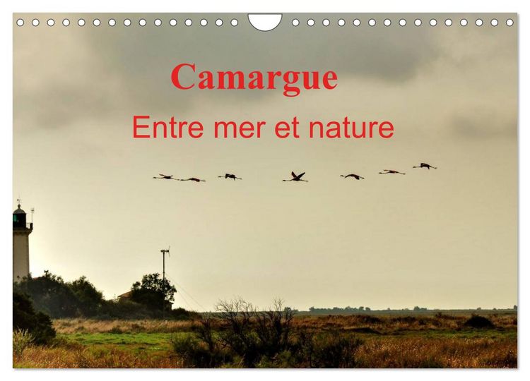 Produktbild: Camargue Entre mer et nature (Calendrier mural 2026 DIN A4 vertical), CALVENDO calendrier mensuel