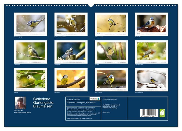 Produktbild: Gefiederte Garteng&auml;ste, Blaumeisen (hochwertiger Premium Wandkalender 2026 DIN A2 quer), Kunstdruck in Hochglanz