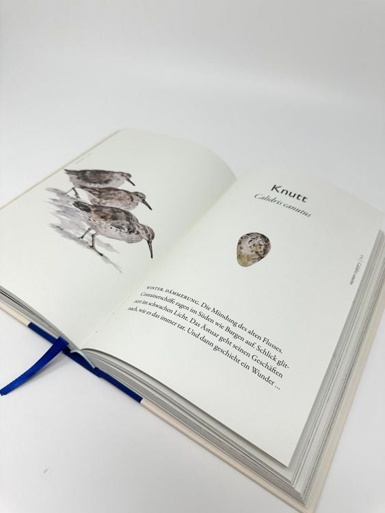 Produktbild: Das Buch der V&ouml;gel