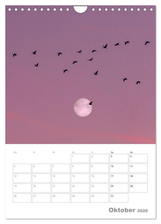 Produktbild: VOLLMOND-Planer - Im Licht der Nacht (Wandkalender 2026 DIN A4 hoch), CALVENDO Monatskalender