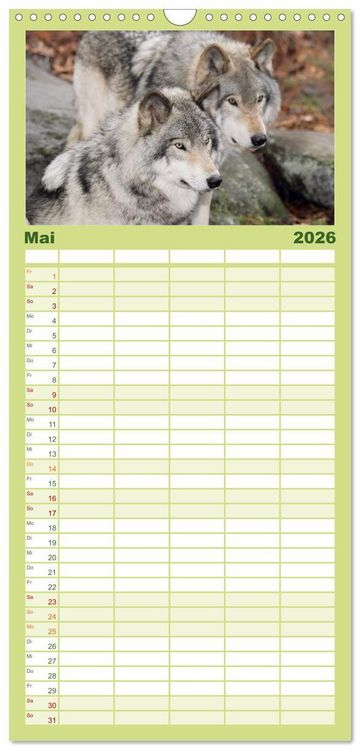 Produktbild: Familienplaner 2026 - W&ouml;lfe. Verwegene Anmut mit 5 Spalten (Wandkalender, 21 x 45 cm) CALVENDO