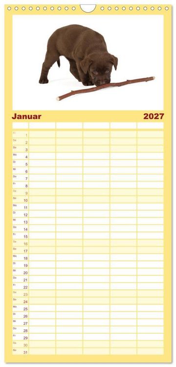 Produktbild: Familienplaner 2027 - Labrador - Welpen mit 5 Spalten (Wandkalender, 21 x 45 cm) CALVENDO