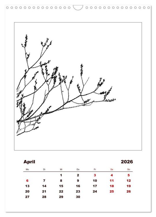 Produktbild: LignoGrafica - Muster und Strukturen der B&auml;ume (Wandkalender 2026 DIN A3 hoch), CALVENDO Monatskalender
