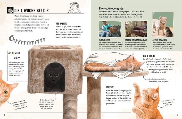 Produktbild: Meine Katze