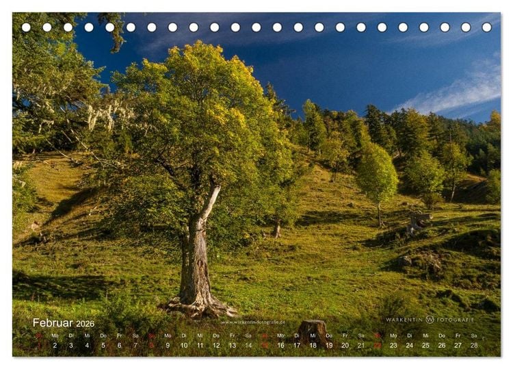 Produktbild: Gro&szlig;er Ahornboden - Europas gro&szlig;er Ahornwald (Tischkalender 2026 DIN A5 quer), CALVENDO Monatskalender
