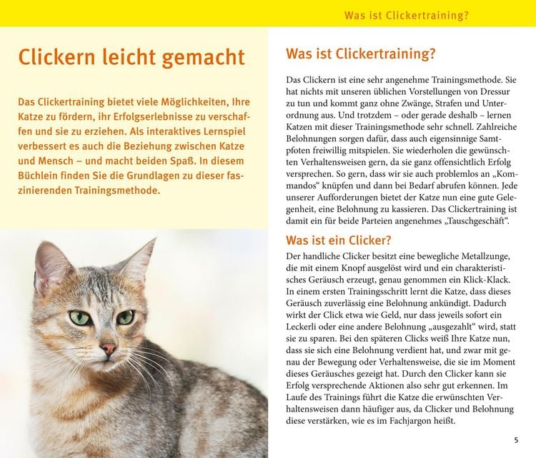 Produktbild: Katzen-Clicker-Box