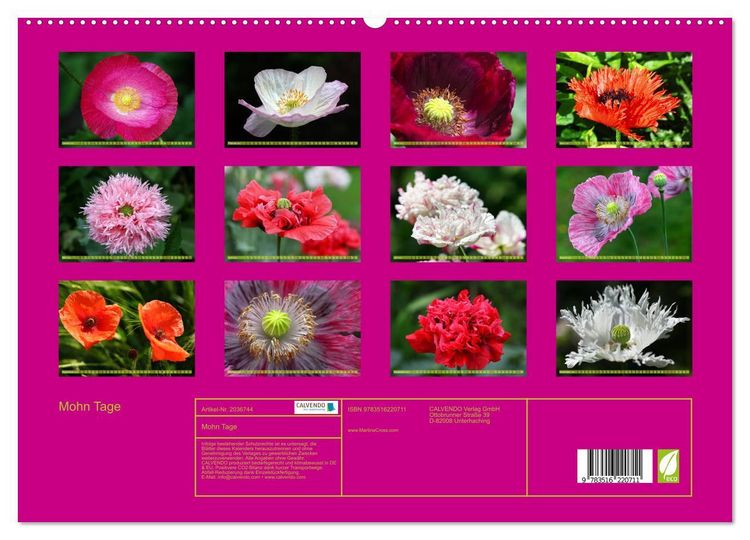 Produktbild: Mohn Tage (hochwertiger Premium Wandkalender 2026 DIN A2 quer), Kunstdruck in Hochglanz