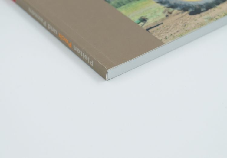Produktbild: Pleiten, Pech und Pannen 9