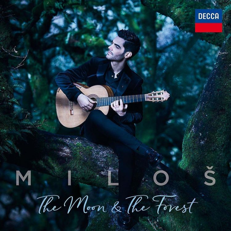 Produktbild: The Moon & The Forrest