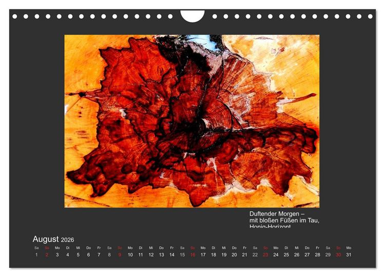 Produktbild: MAGIE HOLZ 2026 (Wandkalender 2026 DIN A4 quer), CALVENDO Monatskalender