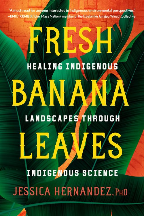 Produktbild: Fresh Banana Leaves