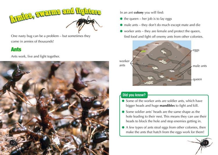 Produktbild: Zombie Wasps