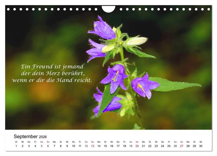 Produktbild: Lebensweisheiten 2026 (Wandkalender 2026 DIN A4 quer), CALVENDO Monatskalender