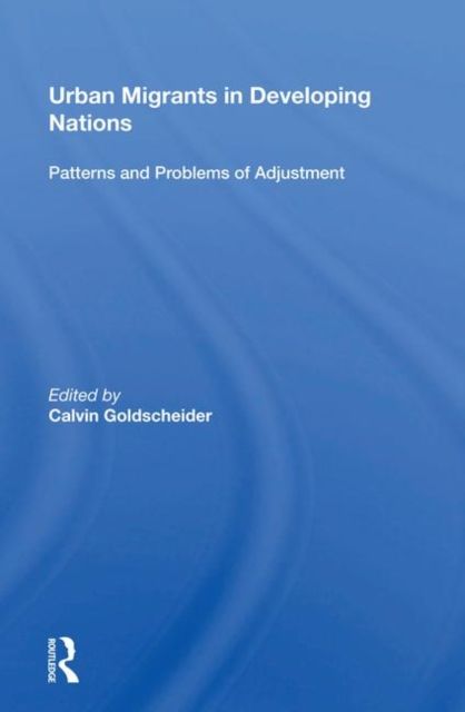 Produktbild: Urban Migrants in Developing Nations