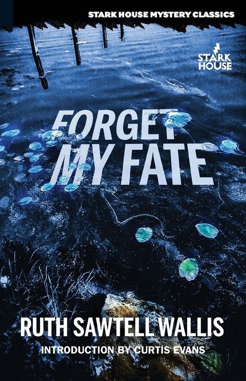 Produktbild: Forget My Fate