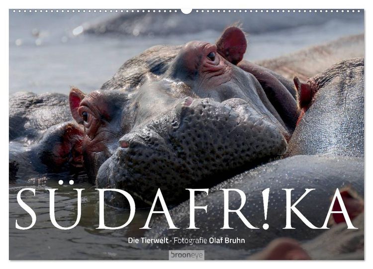 Produktbild: S&uuml;dafrika - Die Tierwelt (Wandkalender 2026 DIN A2 quer), CALVENDO Monatskalender