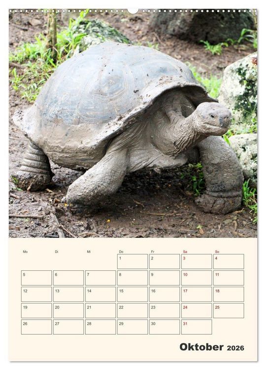 Produktbild: Ecuador - Terminplaner (hochwertiger Premium Wandkalender 2026 DIN A2 hoch), Kunstdruck in Hochglanz