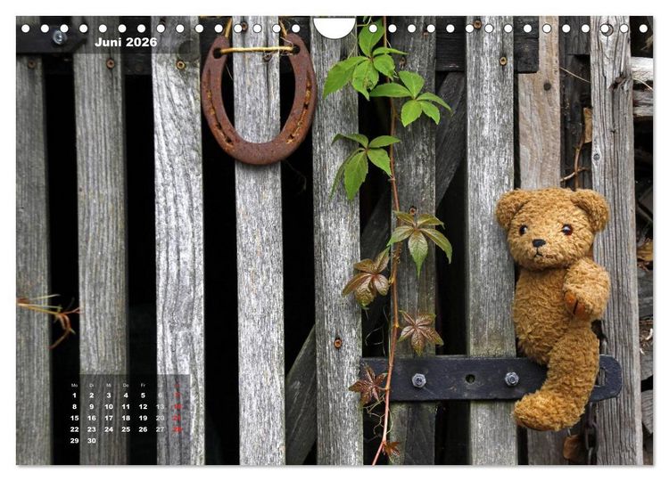 Produktbild: Gl&uuml;cksbringer (Wandkalender 2026 DIN A4 quer), CALVENDO Monatskalender