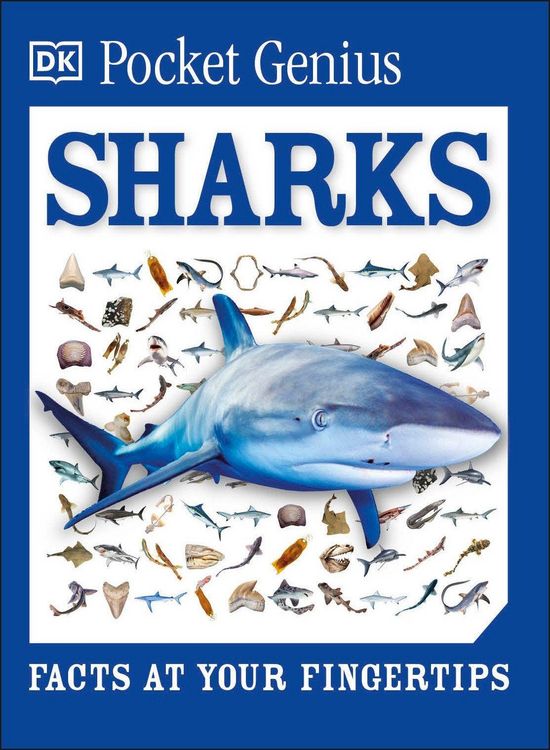 Produktbild: Pocket Genius Sharks