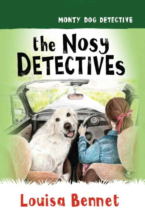 Produktbild: The Nosy Detectives