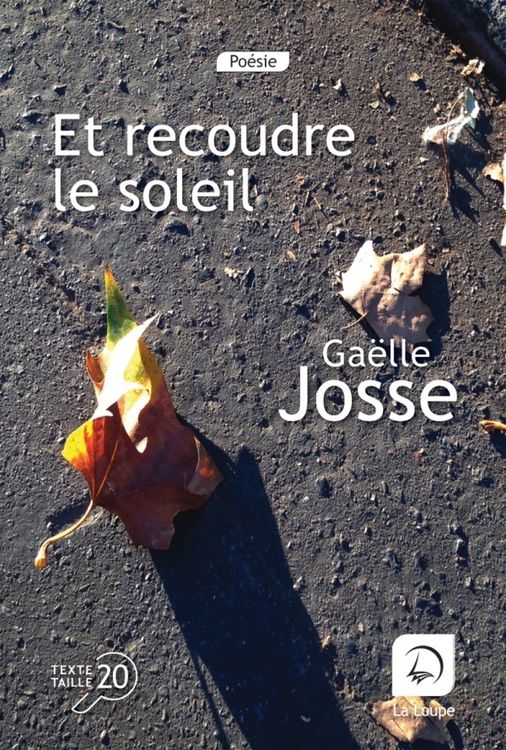 Produktbild: Et recoudre le soleil