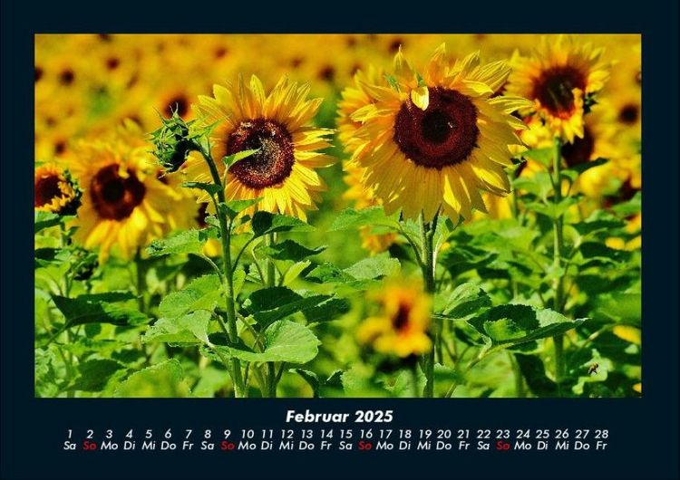 Produktbild: Landschaftskalender 2025 Fotokalender DIN A4
