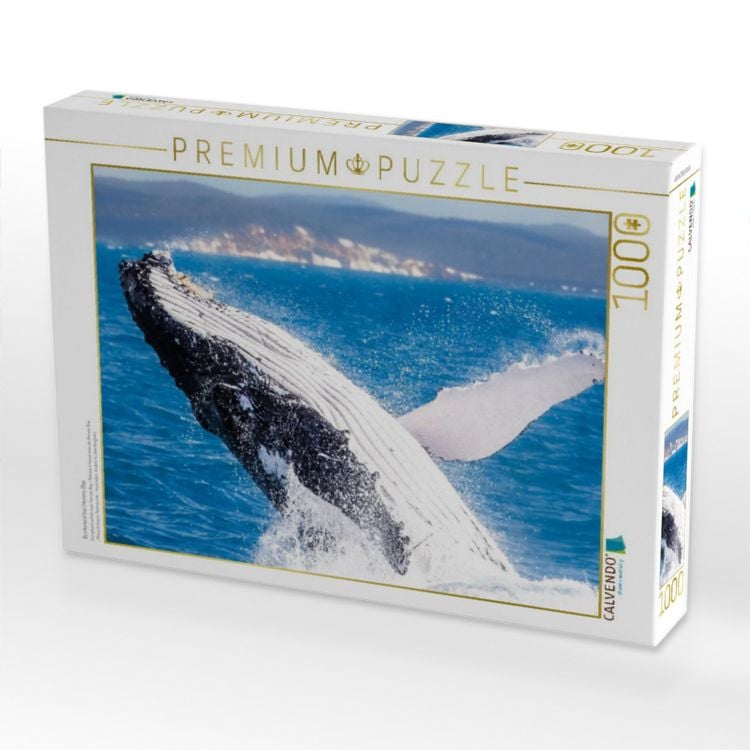 Produktbild: CALVENDO Puzzle Buckelwal bei Hervey Bay | 1000 Teile Lege-Gr&ouml;&szlig;e 64x48cm Foto-Puzzle f&uuml;r gl&uuml;ckliche Stunden
