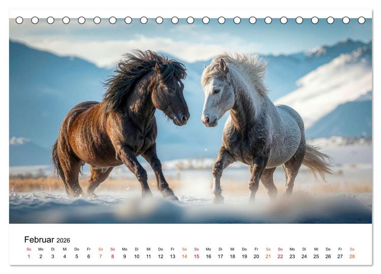 Produktbild: Islandpferde - Freiheit im Blick (Tischkalender 2026 DIN A5 quer), CALVENDO Monatskalender