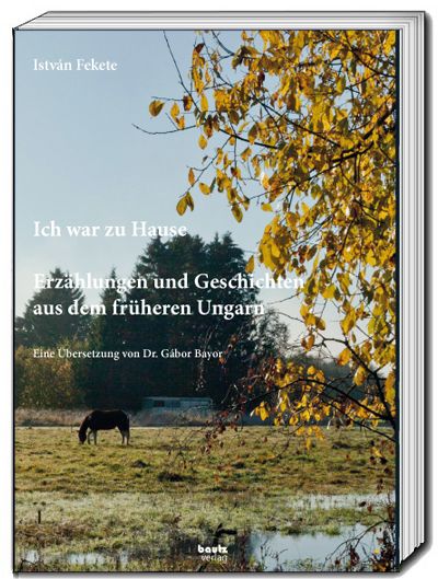 Produktbild: Istv&aacute;n Fekete - Ich war zu Hause